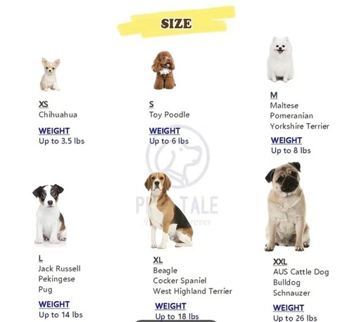 2pc Pet Sweaters Cute Dog Sweatshirt For Pets Blue & Green Size S Brand New - Picture 6 of 6