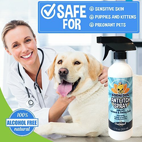 Anti Itch Oatmeal Spray for Dogs & Cats Soothing Relief for Dry Itchy