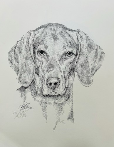 Vizsla  Signed Limited Edition Print By Lyn St Clair Stubbs  22/150
