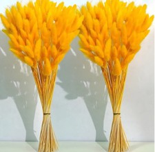 Orange Dried Pampas Grass Decor, 17-inch Pompas Floral, Dry Flowers for...