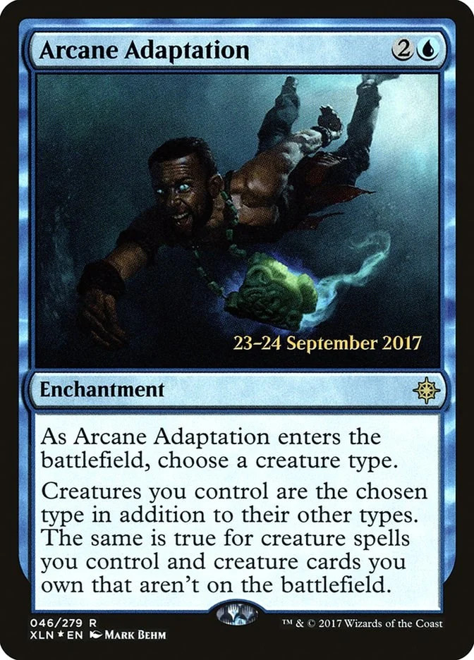 MTG Foil - Arcane Adaptation - 46 / LP / English