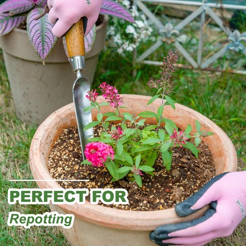 Seeding Widger, Stainless Steel Garden Planting Trowel for Repotting, Long an... - Picture 3 of 7