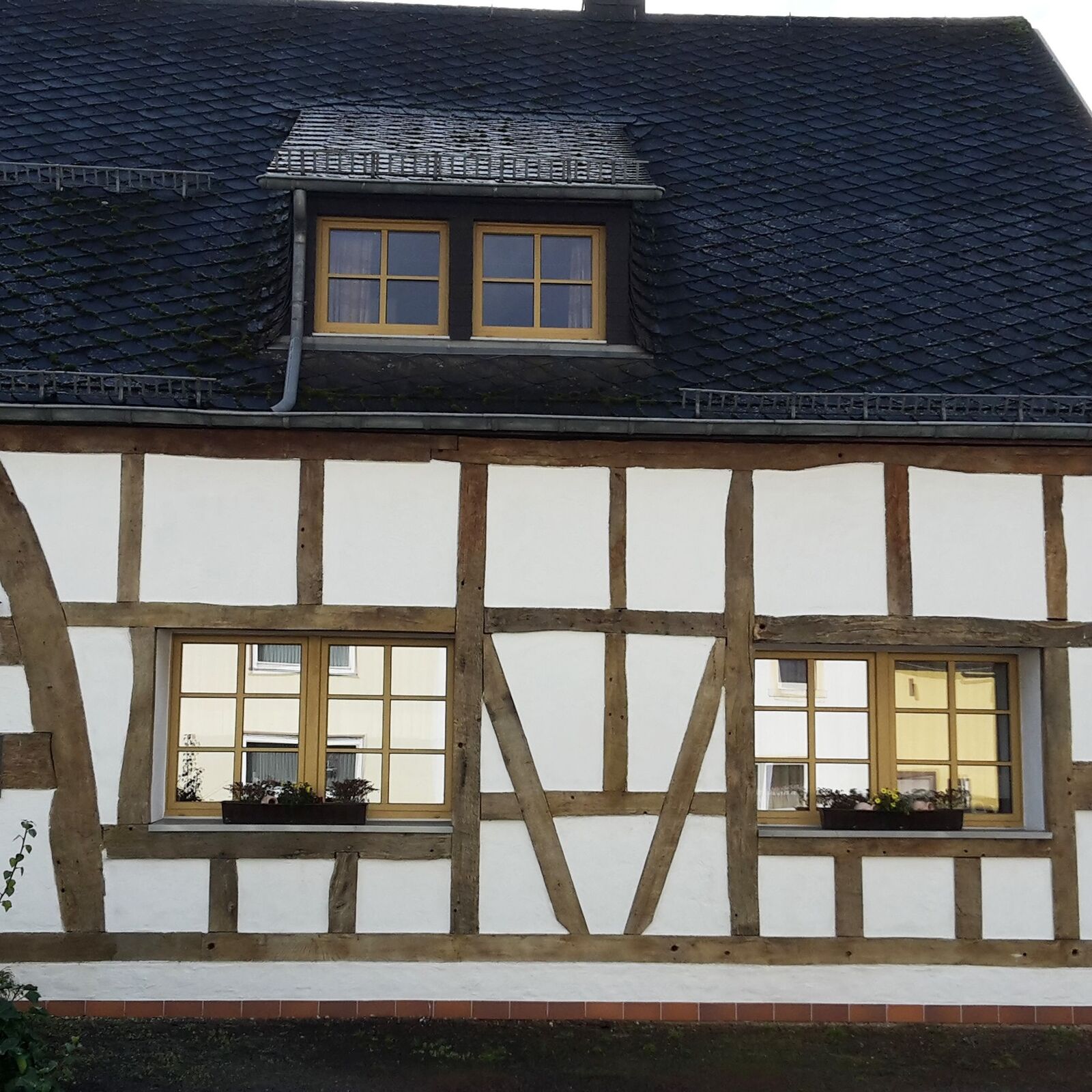 Bild 1 von 12