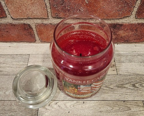 USED Yankee Candle Large Housewarmer 22oz CHOOSE YOUR SCENT BUY MORE & SAVE - Picture 83 of 254