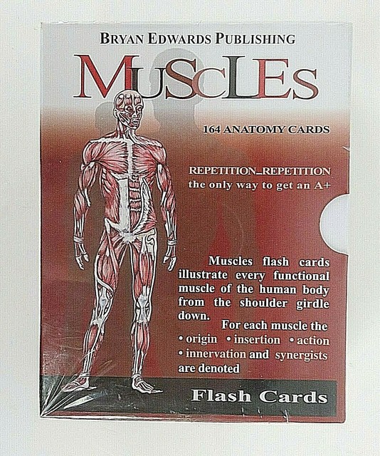 Muscles Flash Cards by Flash Anatomy Staff (1989, Hardcover) for sale