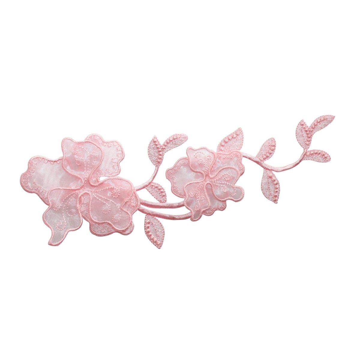【OK plant】 teamfinKinze4flat_1.jpg