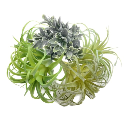 POANTA 5 Pack Assorted Artificial Succulents Air Plants Set Unpotted Realisti... - Picture 5 of 7