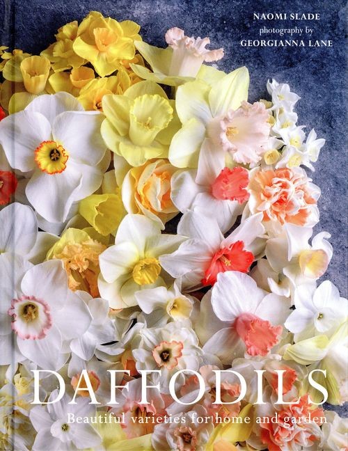 Daffodils : Beautiful Varieties For Home And Garden Naomi Slade - Image 3