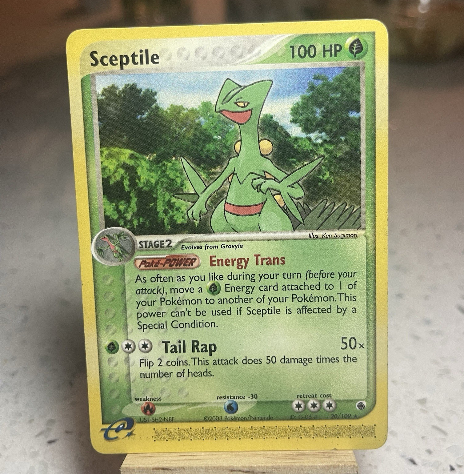 Pokemon TCG Sceptile 20/109 EX Ruby & Sapphire Holo Rare English 2003 100HP