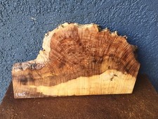 Natural Edge Maple Burl Crafts Woodworking  1 1/8" x 9 1/2" x 17 3/4" 1015