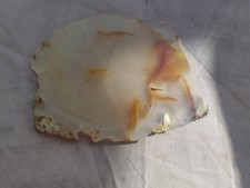 Rare  Paiute  Agate Slab From Oregon