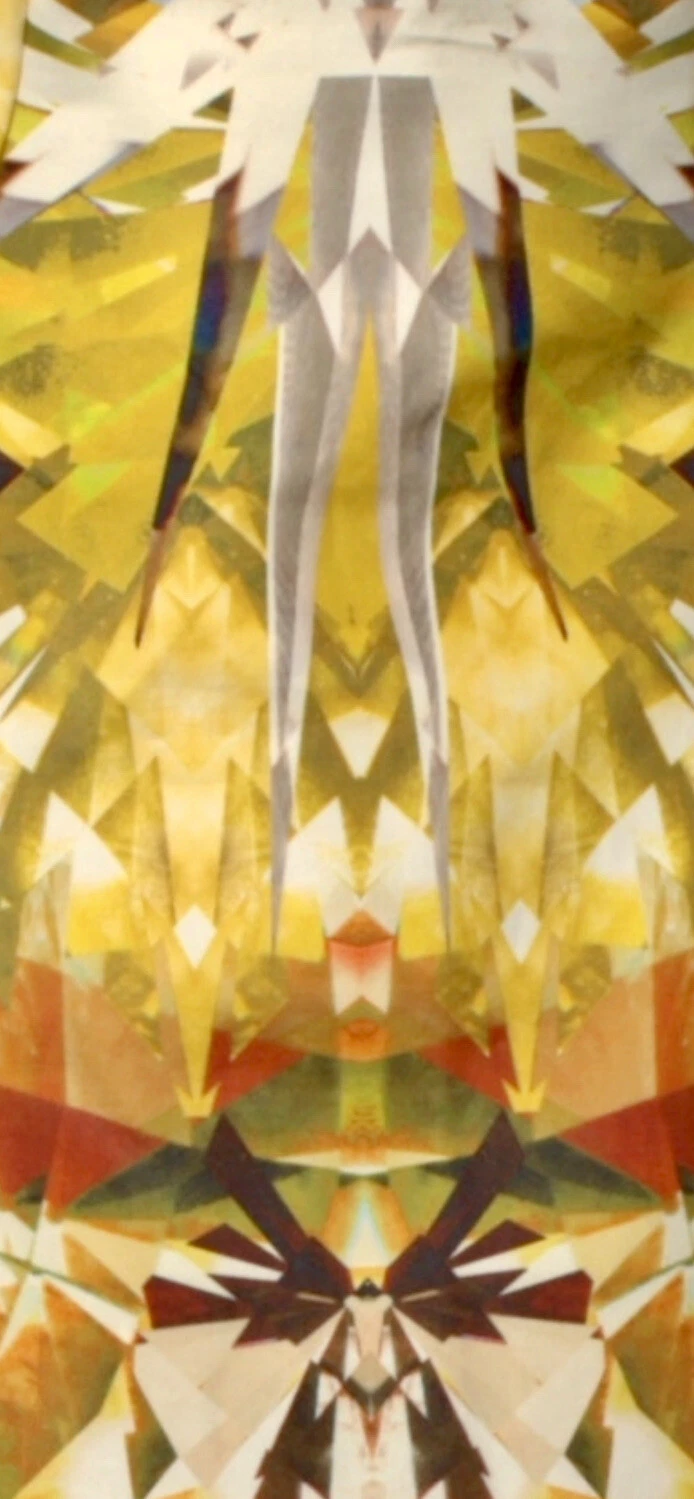 ALEXANDER MCQUEEN *ALEXANDER MCCHEEN* famigerato abito con stampa cristallo primavera 2009 IT 40