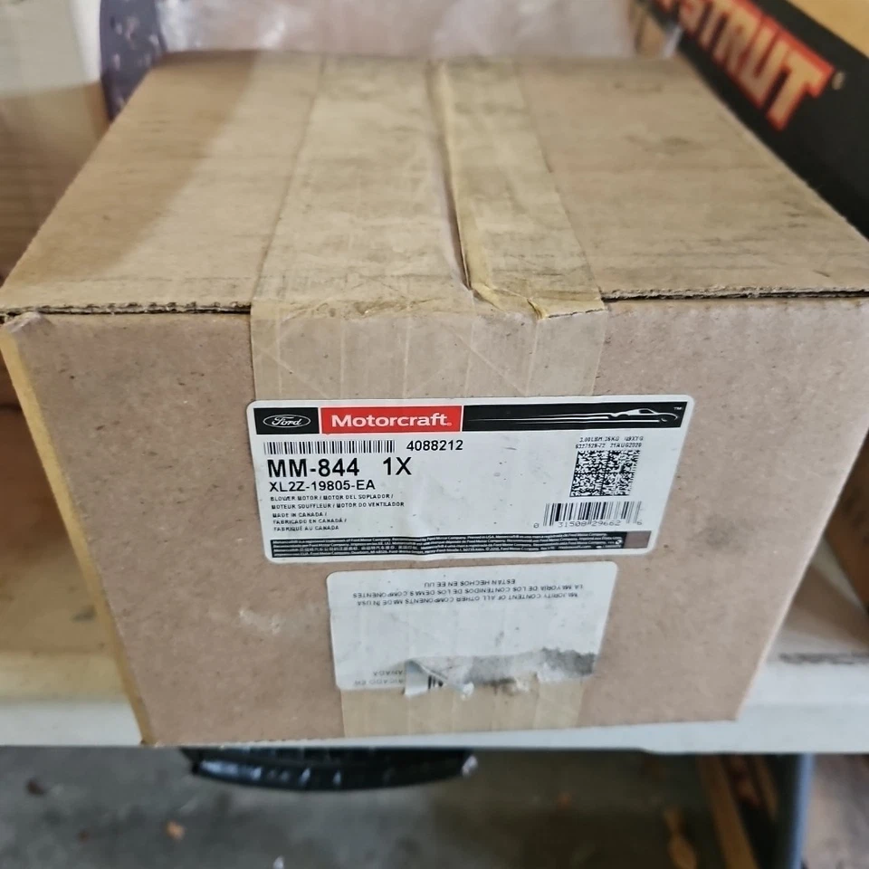 Motor soplador delantero MM-844 Motorcraft nuevo para camioneta Explorer Ford Ranger Mercury Foto 2 de 4