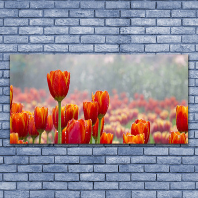Acrylglasbilder Wandbilder aus Plexiglas  140x70 Tulpen Pflanzen