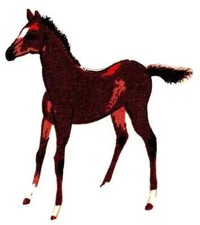 horse stallion fabric applique iron on not embroidered 5 inch