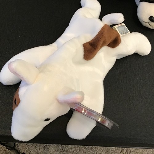 4 TY Beanie Babies Dogs Lot Bernie, Butch, Kippy, Gigi - Picture 2 of 9