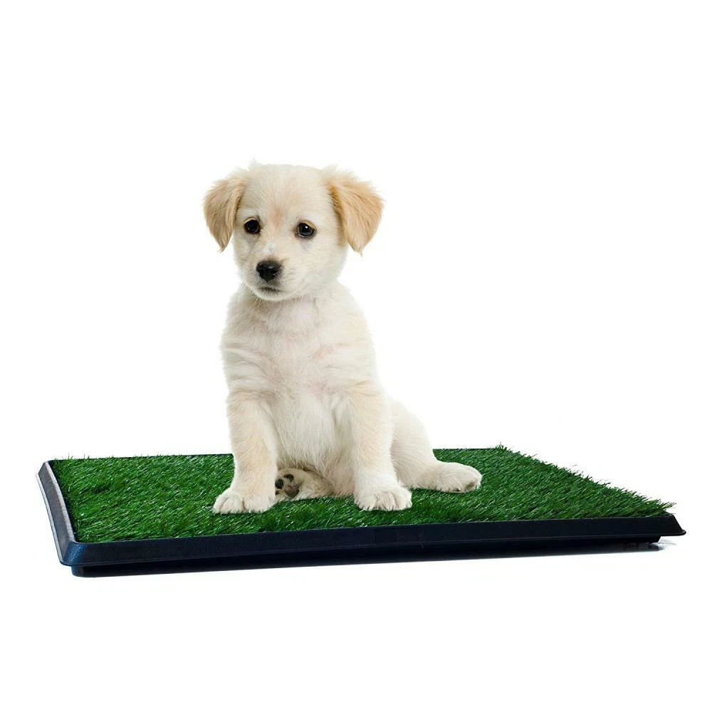 PETMAKER Puppy Potty Trainer The Indoor Restroom for Pets 16 x 20 Small