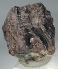 Picture 7 of 19