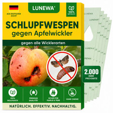 LUNEWA® Schlupfwespen gegen Apfelwickler biologisch & ohne Chemie - 1x Lieferung