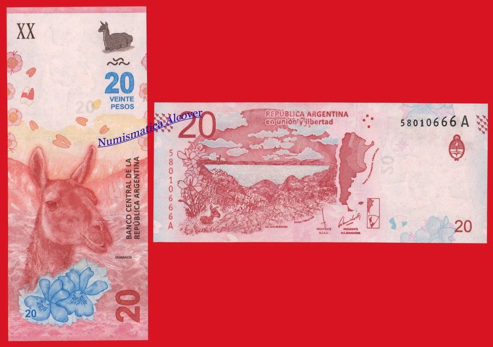 Imagen 1 de 1