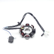 Lichtmaschine für 4-Takt China Roller GY6 139QMA QMB Motor