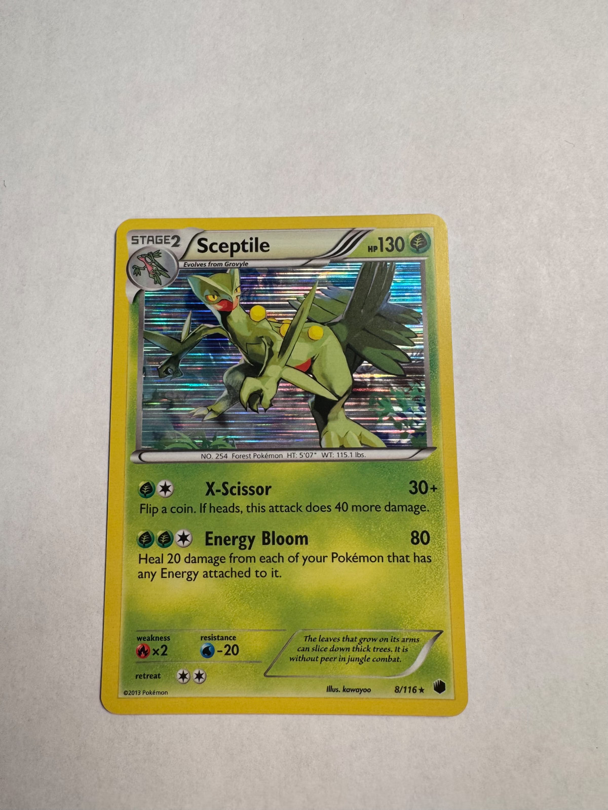 Sceptile Holo B&W Plasma Freeze 8/116 Pokemon Card TCG LP