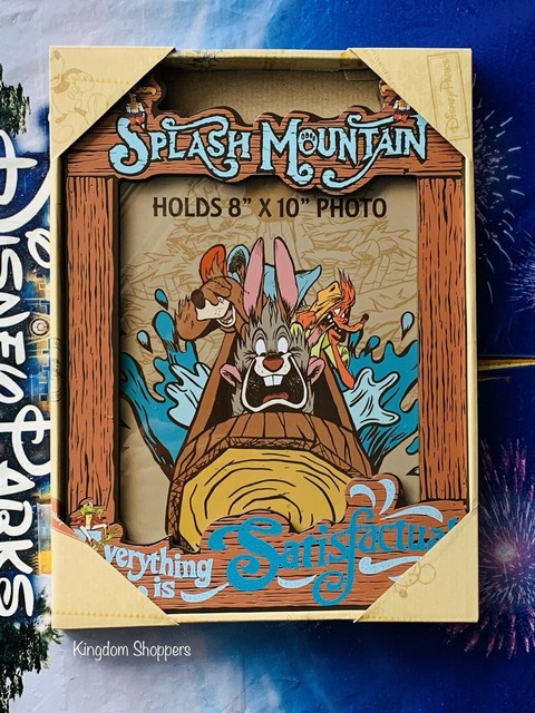 Disney Parks Splash Mountain Resin Picture Photo Picture Frame For Sale Online Ebay