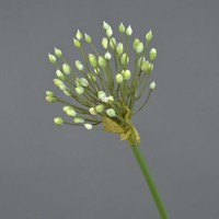 Artplants KüNstliche Blume Zierlauch Katyna, Creme, 70Cm