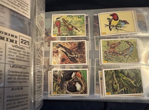 PANINI BIRDS : RARE COLLECTION OF LOOSE STICKERS 1-300 COMPLETE ALL IN VGC 1979 - Picture 7 of 10