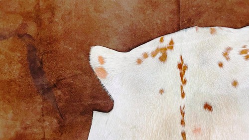 Scandinavian Real Leather Goat Hide Animal Skin, Nordic Summer Fur Coat - Picture 8 of 8