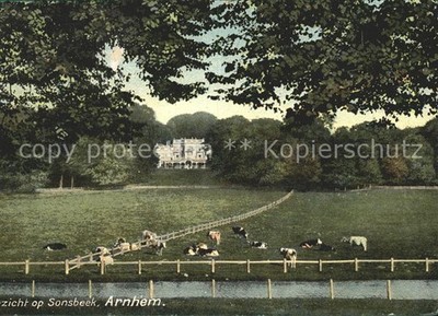 Arnhem Gezicht op Kasteel Sonsbeek Willow Cows Castle