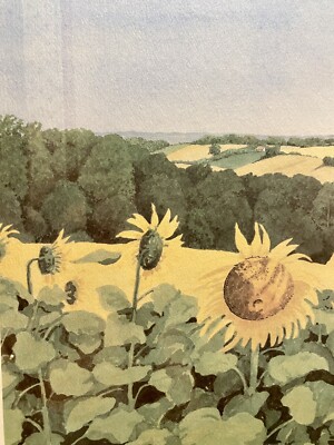 Sunflower Landscape Watercolor Painting Print by Nancy B Roberts- Signed