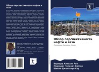 Obzor Perspektiwnosti Nefti I Gaza Razlomnye Bassejny Kenii Rop (U. A.) Buch