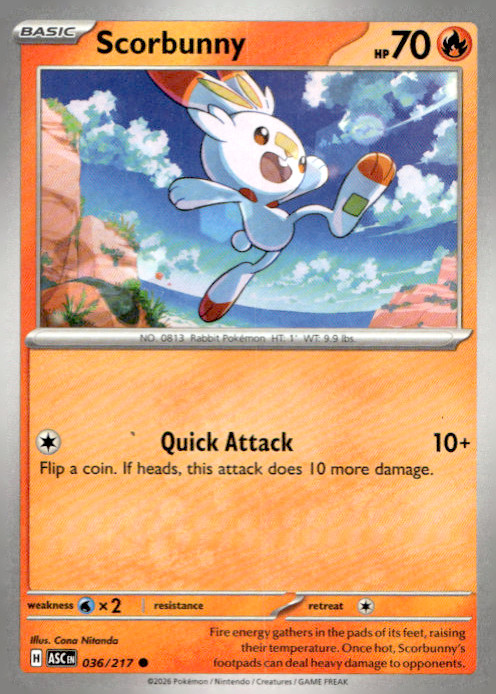 Scorbunny 036/217 Common Regular ME: Ascended Heroes NM