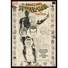 Amazing Spider-Man By Steve Ditko HC: [Steve Ditko Artist Edition ME] 2026