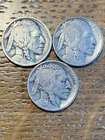 Buffalo Nickel Trio, 1913-I, 1913-II, 1920-D