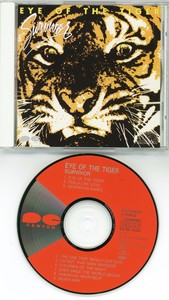 SURVIVOR Eye Of The Tiger CD JAPAN D32Y0039 1985 s4893 | eBay