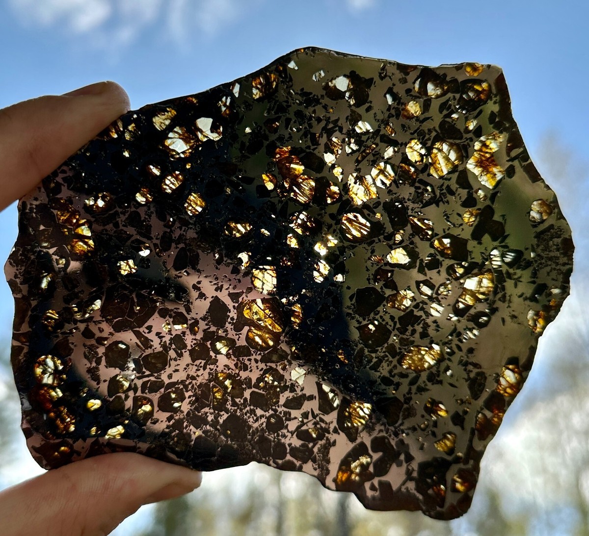 Seymchan 隕石　222g　メテオライト Seymchan 隕石 222g メテオライト Seymchan 隕石 222g メテオライト