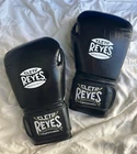 Cleto Reyes Boxing and Training Gloves with Hook and Loop Closure, 16oz, REPLICA