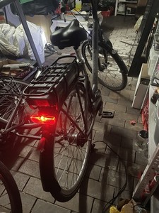 E-bike Bosch Vicktoria Motor  REICHWEITE 30-40   25-26 Km/h