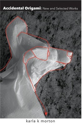 Accidental Origami: New and Selected Works of Karla K. Morton by Karla K. Morton