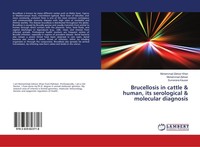 Brucellosis In Cattle & Human, Its Serological & Molecular Diagnosis Muhammad Za