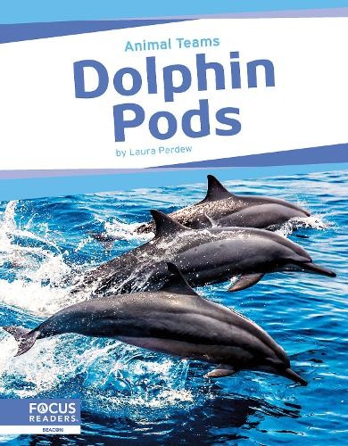 Dolphin Pods by Laura Perdew - 9798889982470