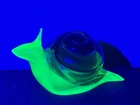 Uranium Vaseline Glass Murano Snail With  Vintage 1960-70 one antenna half broke