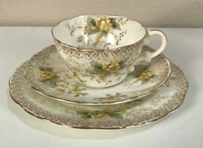Antique Redfern & Drakeford Bone China Tea Cup Trio c1892-1909 Pattern # 2054