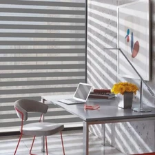 Cordless Zebra Blinds Roller Shades with Valance Dual Layer Sheer Blinds