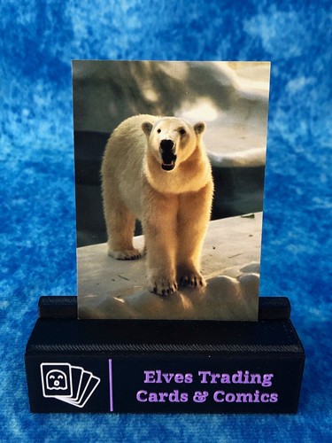 The World Famous San Diego Zoo Animals of the Wild SINGLE Non-Sport Trading card - Picture 83 of 194
