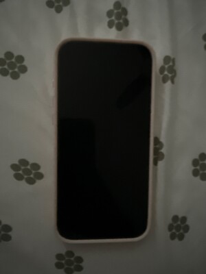 Apple iPhone 16 Pro Max - 256 GB - White (Unlocked)
