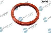 Original Dr.Motor Automotive Dichtung Drosselklappenstutzen DRM0613 FüR Dacia