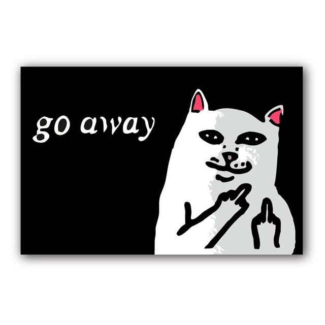 Cat With Middle Finger Mat Doormat Go Away Grumpy Cat Carpet